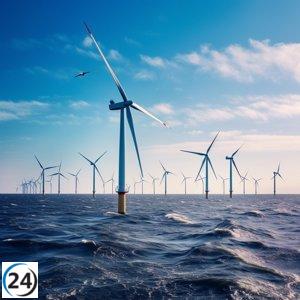 Ecologistas presionan para incluir criterios ambientales y sociales en subastas de energía eólica marina.