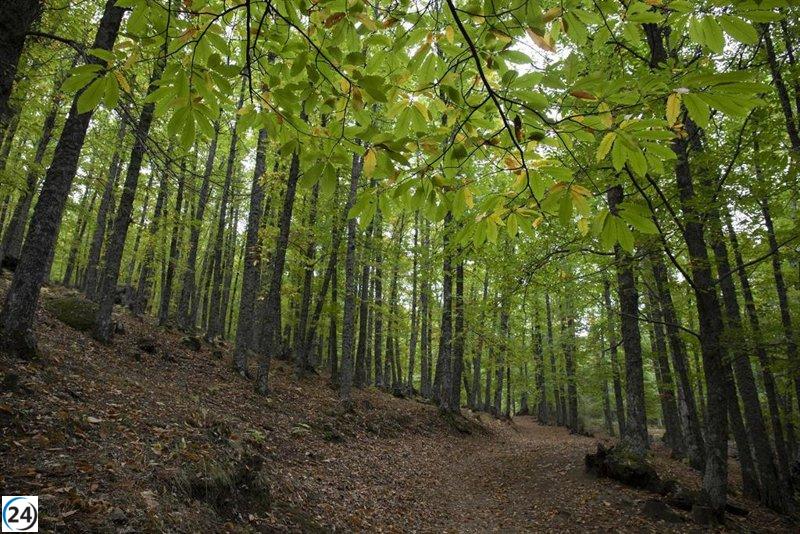La UE retrasa un año la prohibición de ventas que contribuyen a la deforestación.