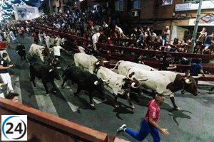 Fundación Franz Weber revela que la asistencia a corridas de toros ha caído un 77% en 20 años.
