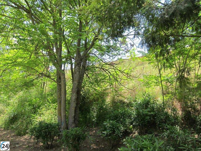 El 64% de las empresas españolas del Pacto Mundial de la ONU implementan iniciativas climáticas, superando el 55% en Europa, revela un estudio.