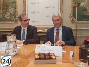 AEPD alerta sobre su gran volumen de trabajo tras recibir casi 19.000 quejas en 2024.