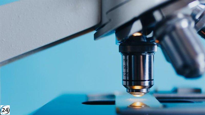 El Gobierno destina 23 millones a 123 proyectos españoles de cooperación internacional en ciencia.
