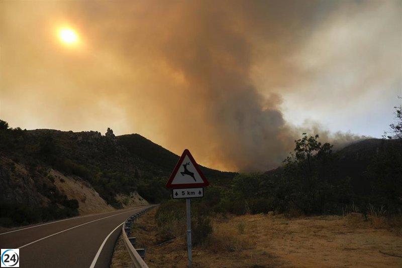 Incendios en España consumen más de 20.000 hectáreas, incrementándose un 14,1% en una semana.