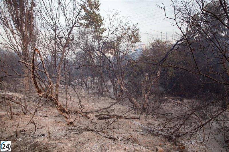 Incendio en Tres Cantos controlado, pero las inclemencias del clima generan inquietud.