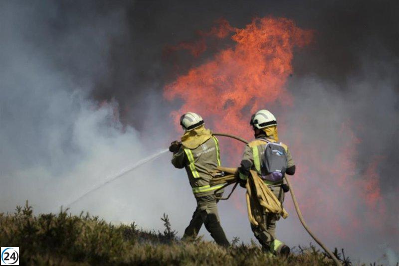 WWF advierte que el 2025 podría marcar un récord de incendios forestales en el siglo XXI.
