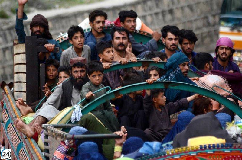 Tragedia en Afganistán: 80 fallecidos en siniestro vial, entre ellos 19 niños.