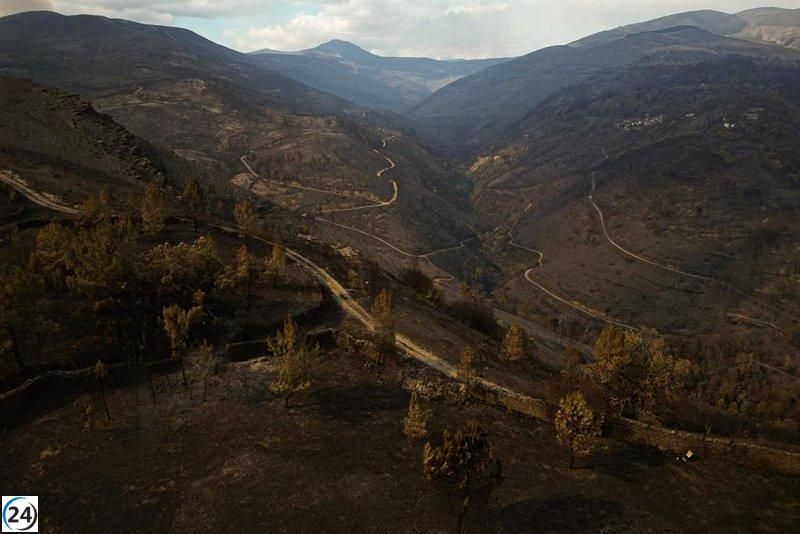 Yolanda Díaz aboga por una política integral y estable para combatir incendios y mejorar las condiciones laborales de los profesionales.