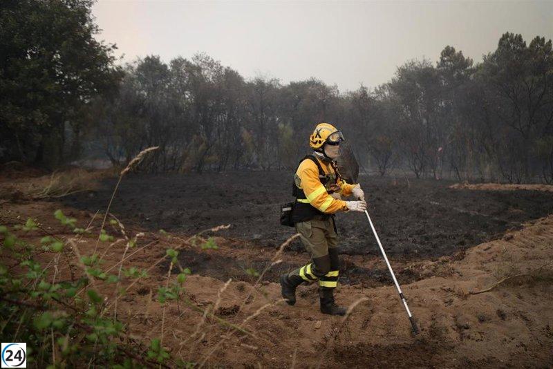 Comunidades Autónomas gobernadas por el PP se niegan a unirse a la Convención sobre Emergencia Climática, acusando al Pacto de ser solo un truco publicitario.