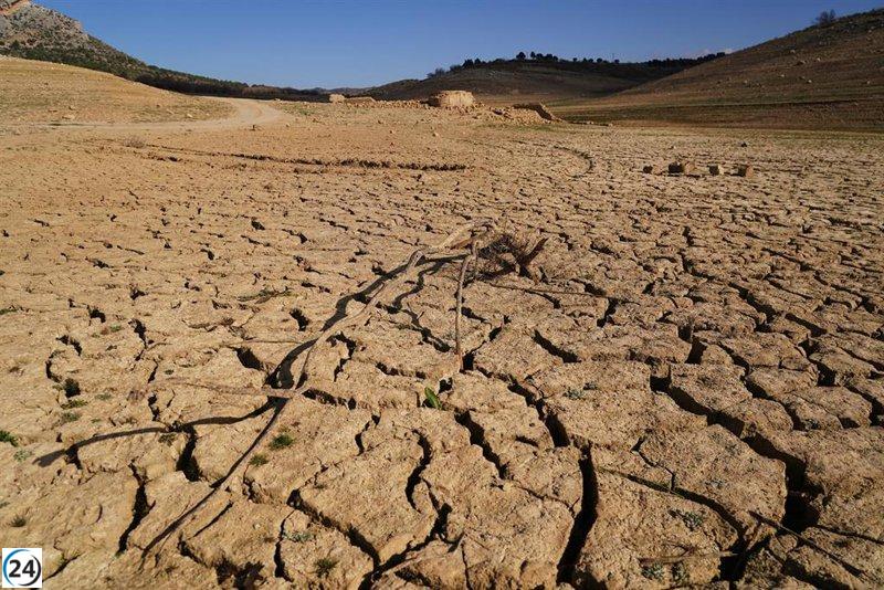España enfrenta 141 amenazas climáticas que ponen en jaque la salud, la economía y la biodiversidad, 51 de ellas críticas.