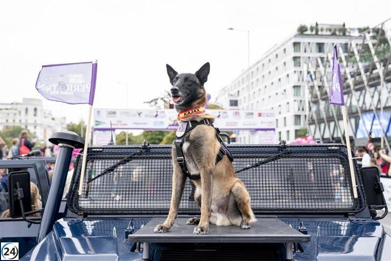 Más de 5.000 corredores se unirán en Madrid para el Perrotón 2025, en defensa de los derechos de los animales.