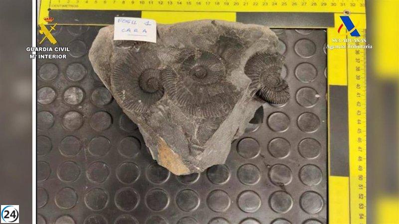 Aeropuerto de Bilbao confiscó artefactos arqueológicos y fósiles mexicanos y ecuatorianos.