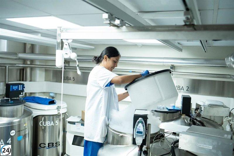 Proyectan un incremento del 5% en los salarios en España para 2026, revela Randstad Research.