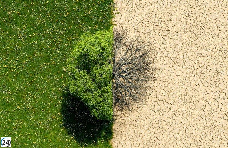 Según McKinsey, la inversión global en adaptación climática alcanza solo un tercio de los 163.000 millones anuales que se requieren.