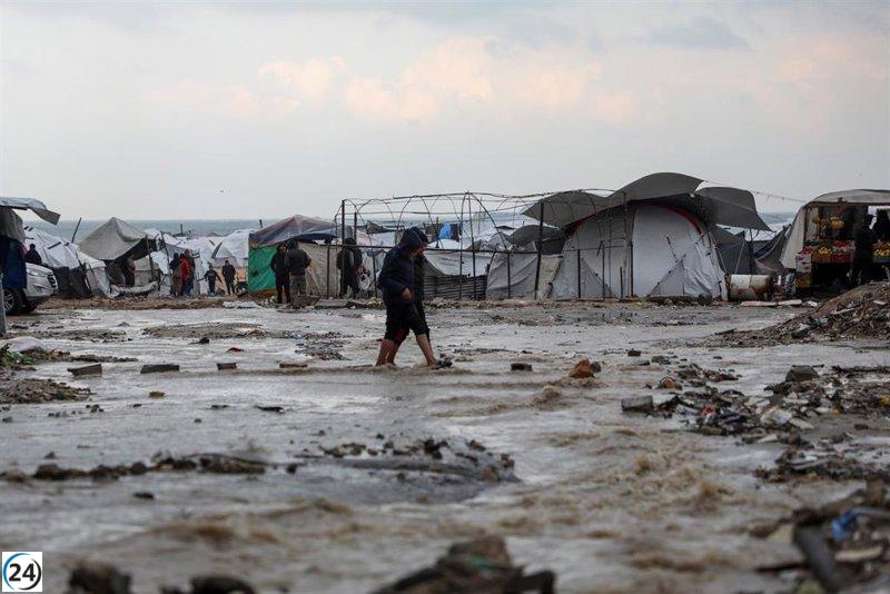 Lazzarini alerta sobre la crisis humanitaria en Gaza: 