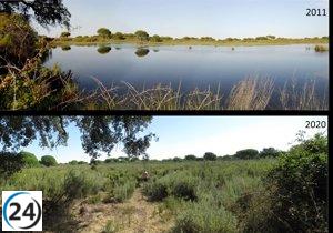 El CSIC advierte que Doñana está en peligro al perder más de la mitad de sus lagunas.