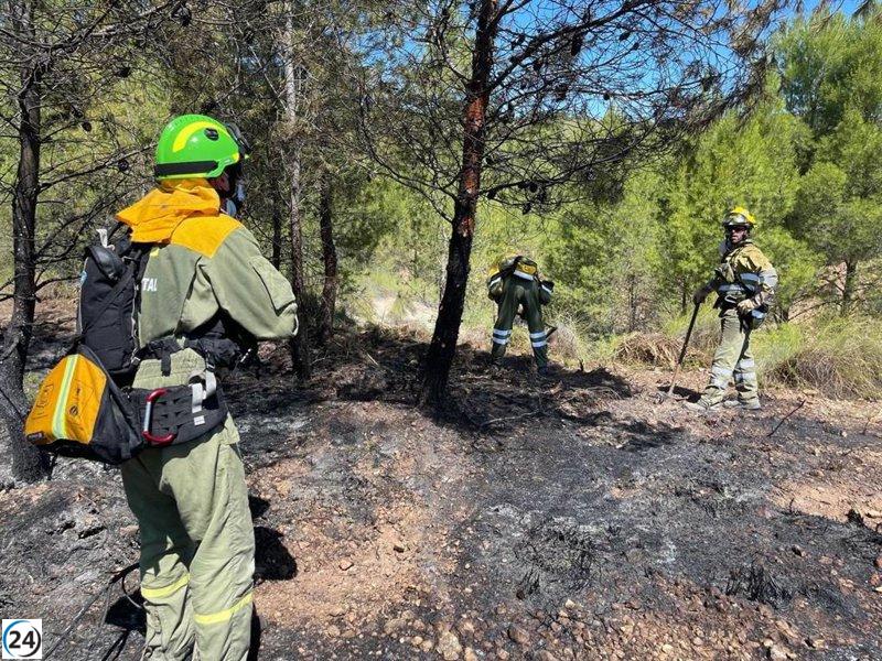 Controlado rápido incendio forestal en Sierra de la Magdalena (Yecla)