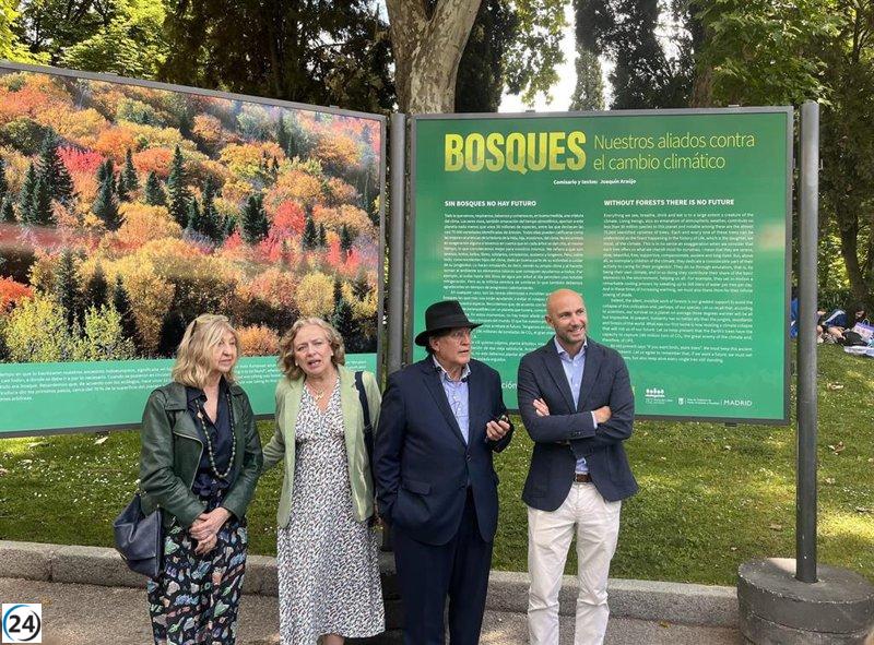 Madrid acoge muestra fotográfica sobre la tranquilidad de los bosques ante el cambio climático.
