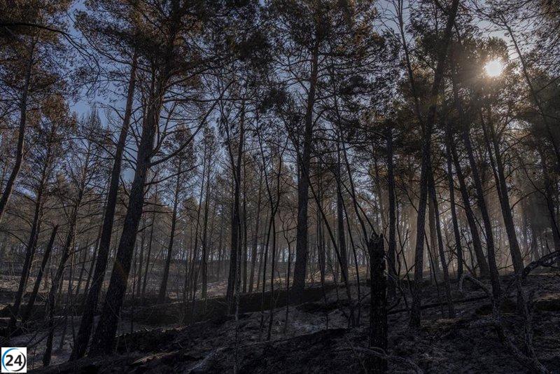 España bate récord de emisiones en marzo por incendios, según Copernicus.