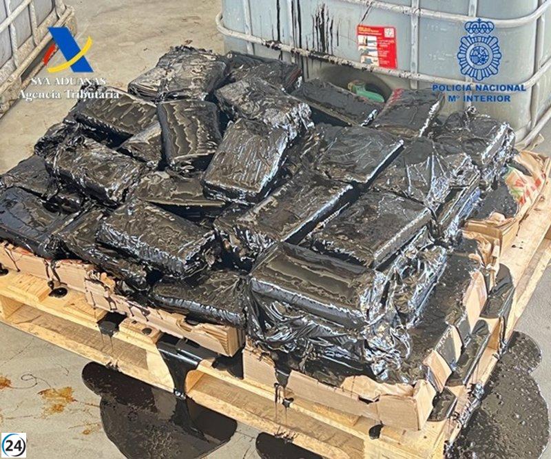 Incautados 65 kilos de cocaína en bidón de azúcar de caña en puerto de Málaga.
