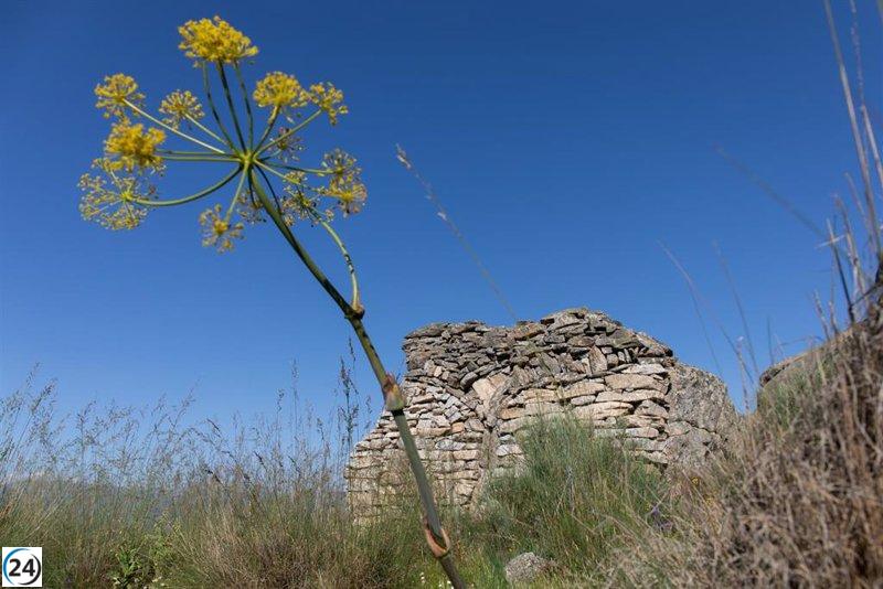 La Unión Europea destina 90 millones de euros a 17 proyectos para suelos saludables, con España involucrada en 13 de ellos.