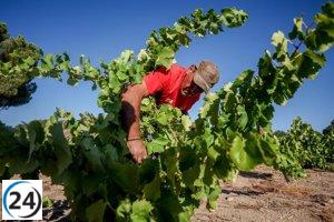 Agricultores y ganaderos recibirán 2.500 millones de la PAC desde el próximo lunes.