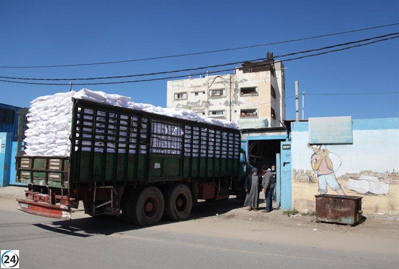 Llega al norte de Gaza un largamente esperado envío de ayuda humanitaria después de más de un mes de bloqueo