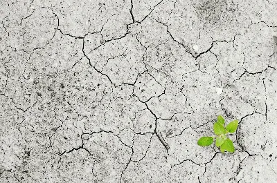 El calentamiento global y su impacto en España