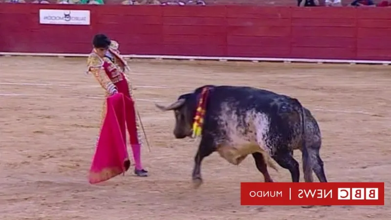 Un día en la vida de un torero español