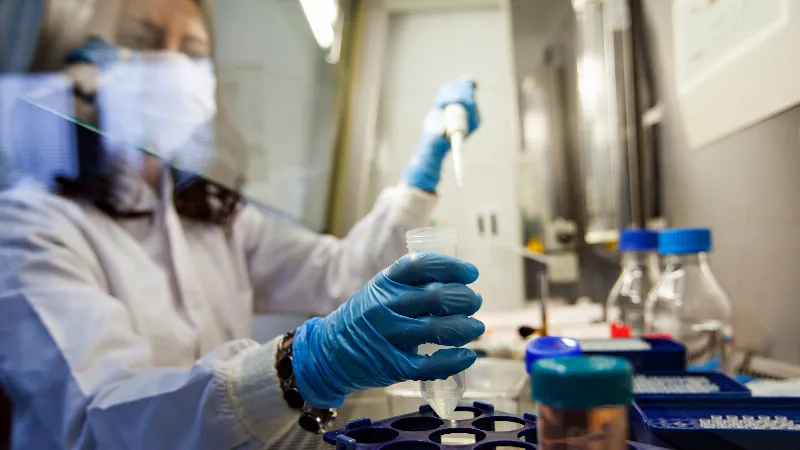 Investigación española en la lucha contra el cáncer