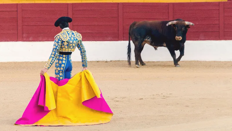 Los Toros, controversia y tradición en la cultura española